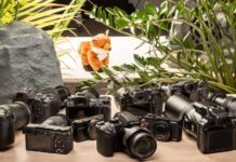 ¿Cuál es la mejor Cámara para Naturaleza? ¿Cuál es la mejor cámara para naturaleza?